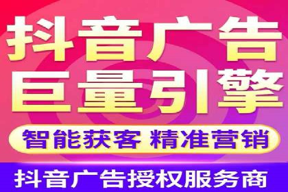 竞价广告与自然搜索的结合策略：XX网站的案例分析